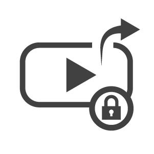 Ícone Video Encryption VSS Vivotek
